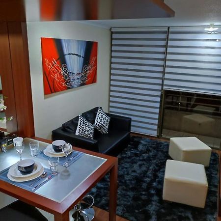 Appartement Rosemberg Apart à Santiago du Chili Extérieur photo