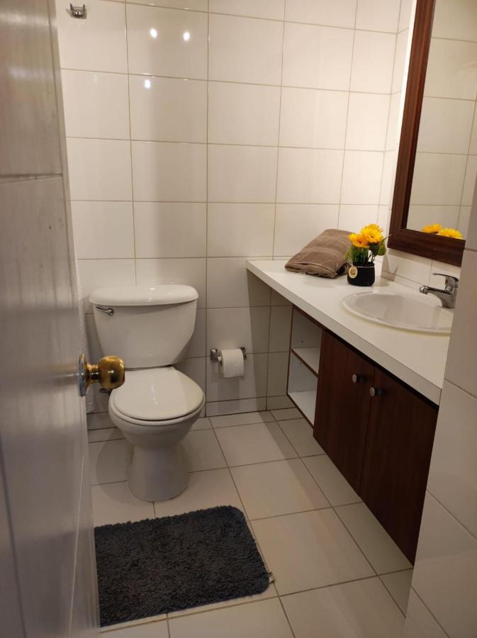 Appartement Rosemberg Apart à Santiago du Chili Extérieur photo
